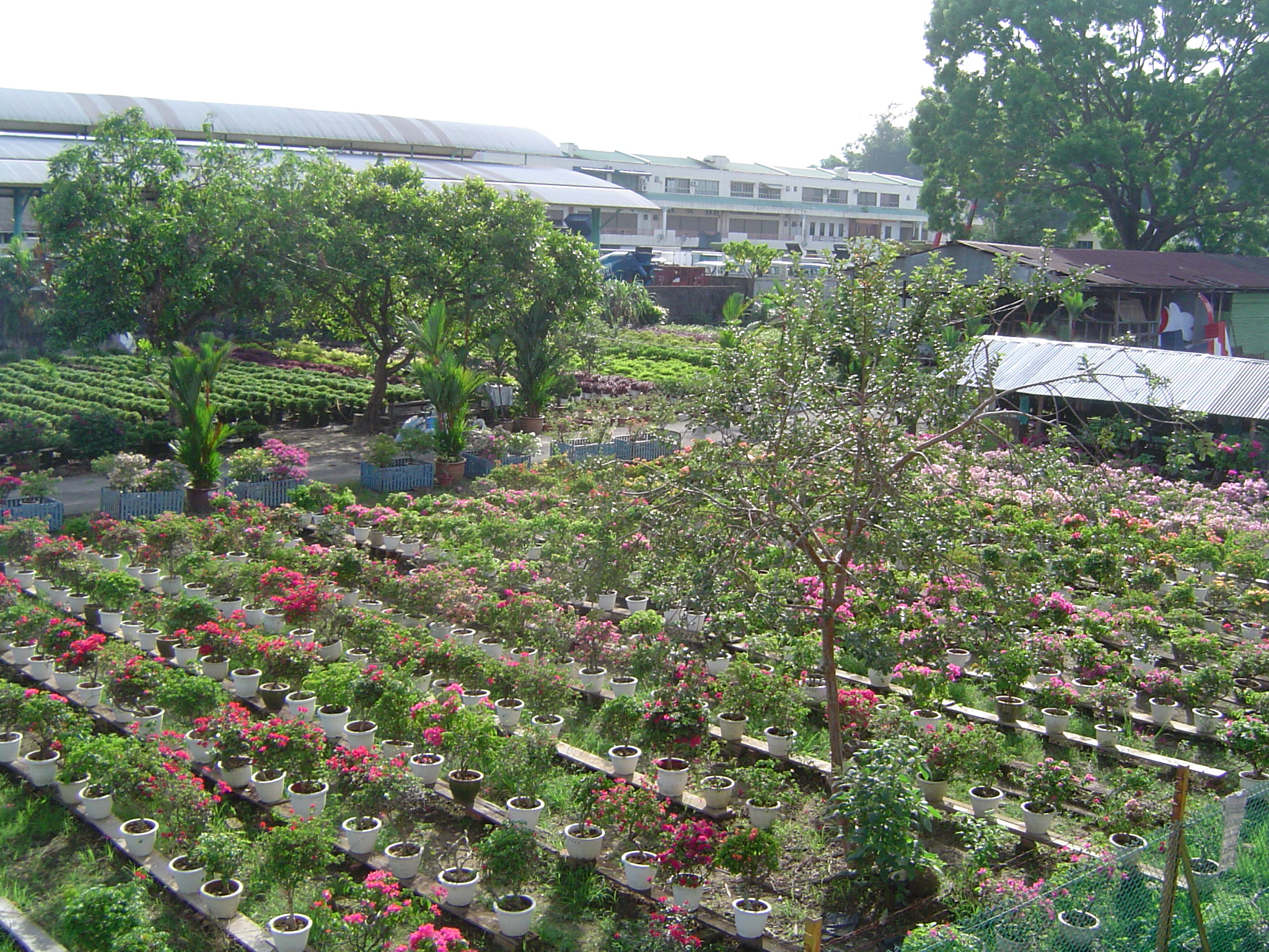 One Home Care Centre old folks home retirement homenursing homeday